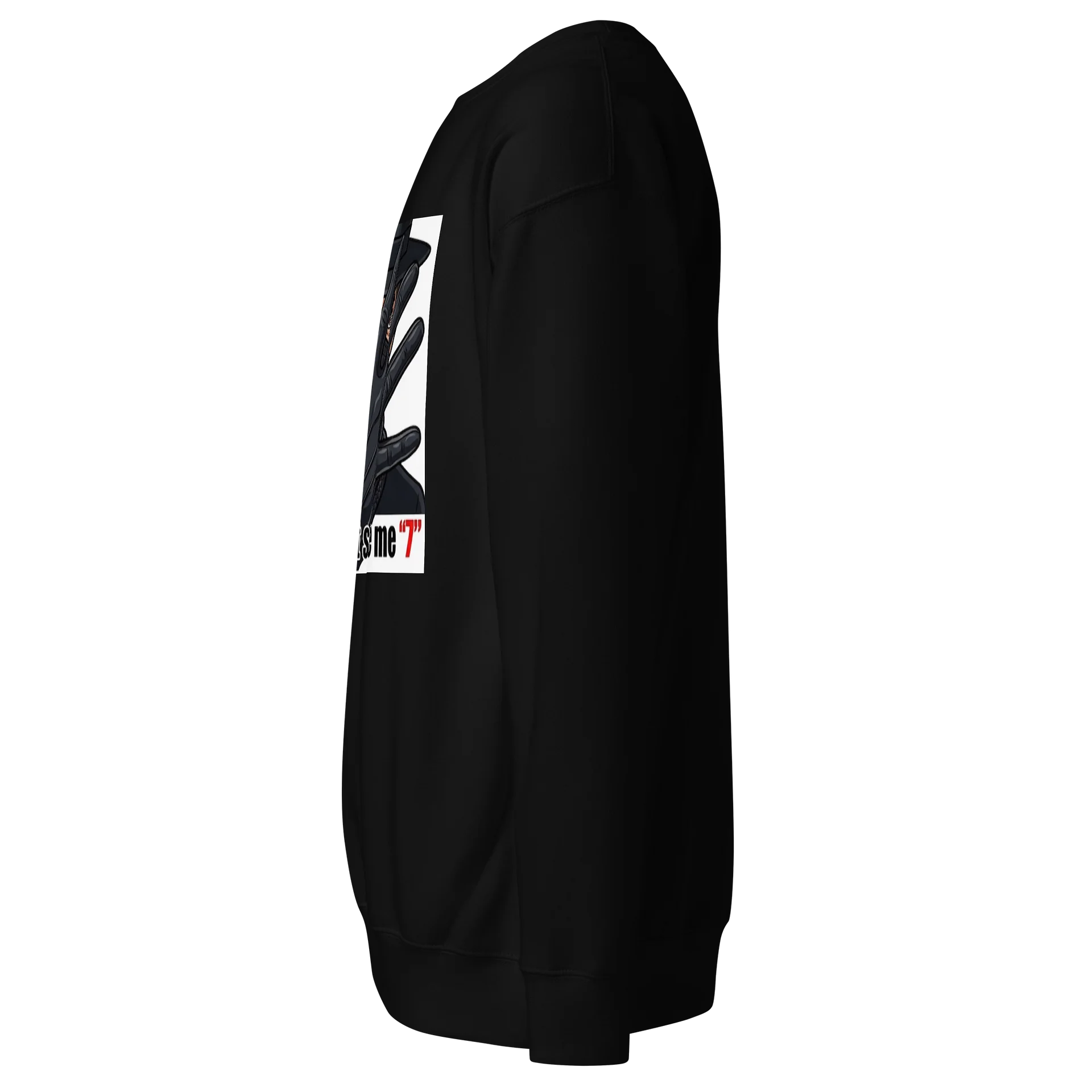Bandit you Can’t See Me product image (2)