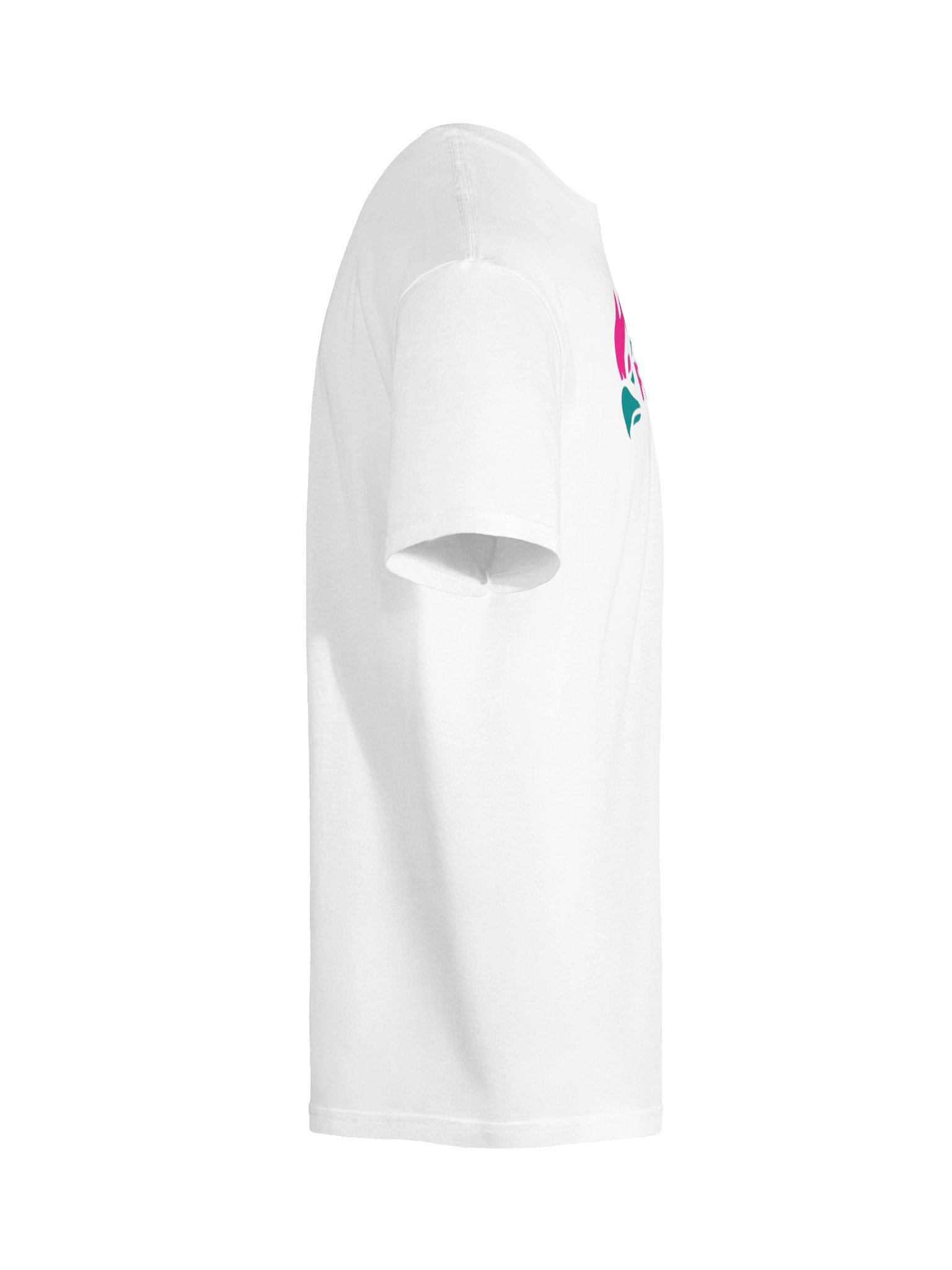 firebird t product image (100)