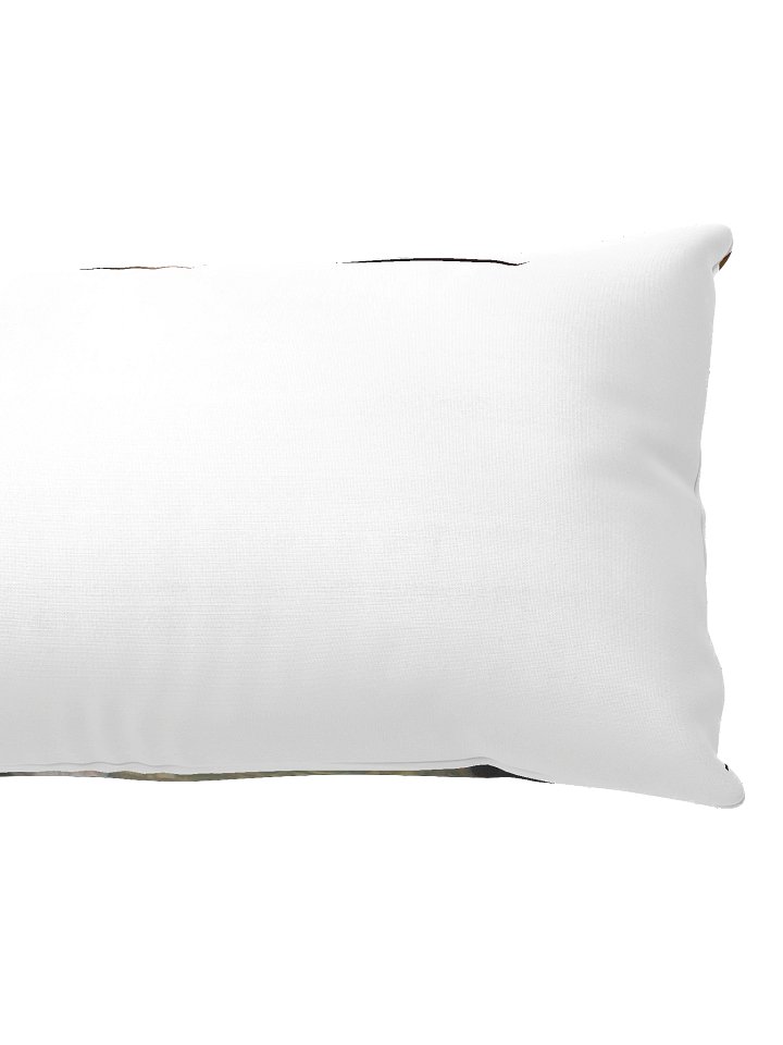 jake fish pillow product image (4)