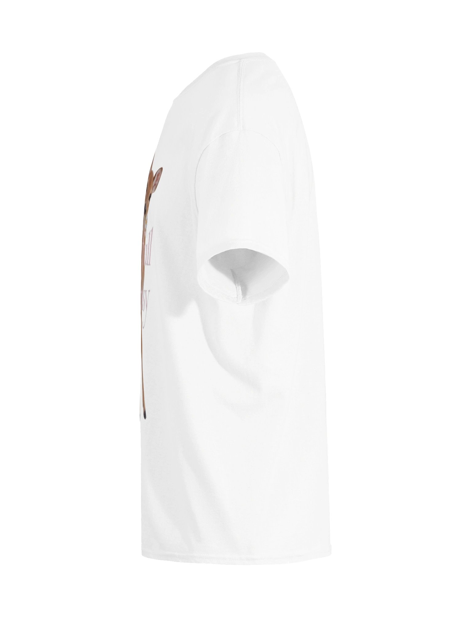 Lowkey full of whimsy product image (59)