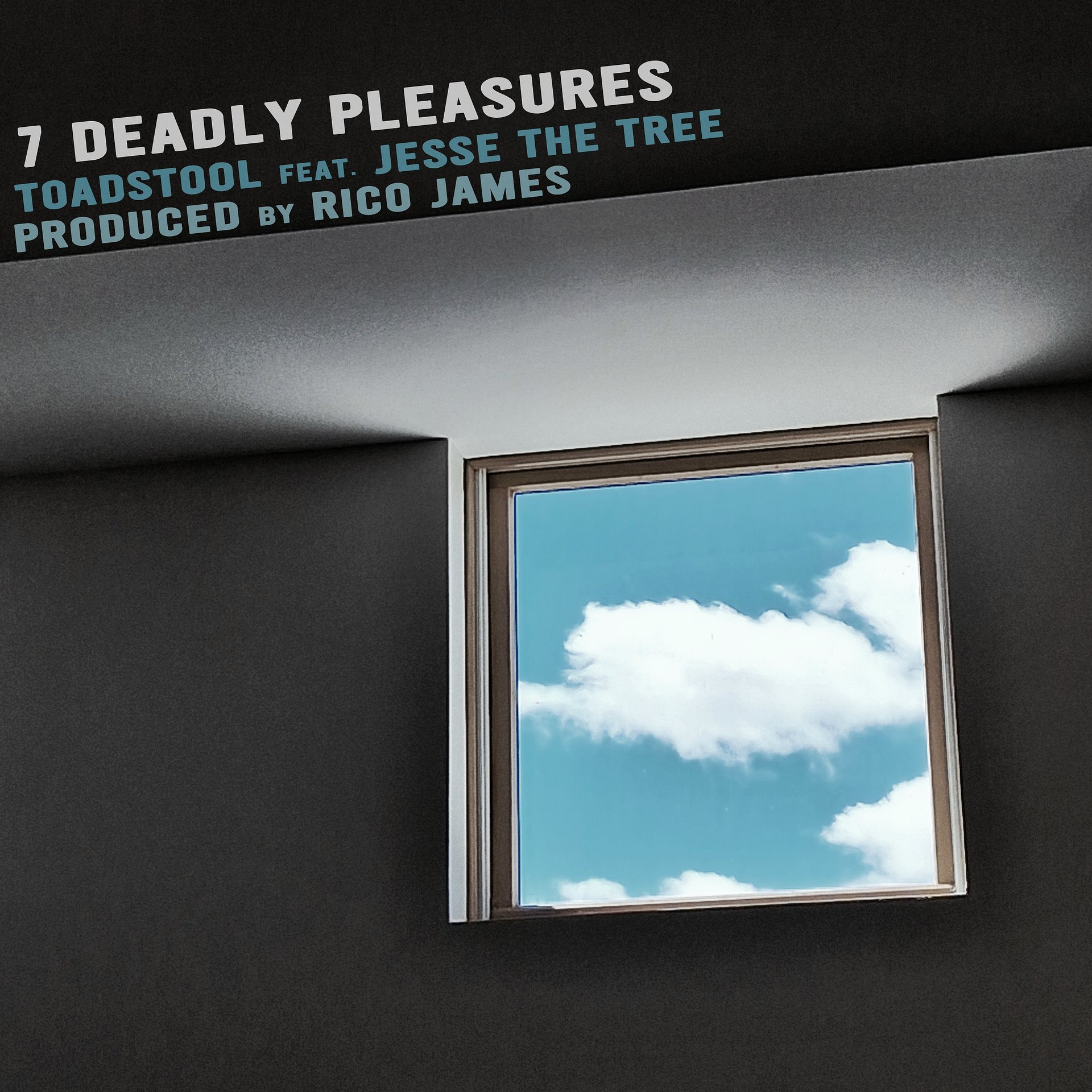 7 Deadly Pleasures (Toadstool & Jesse The Tree) product image (1)