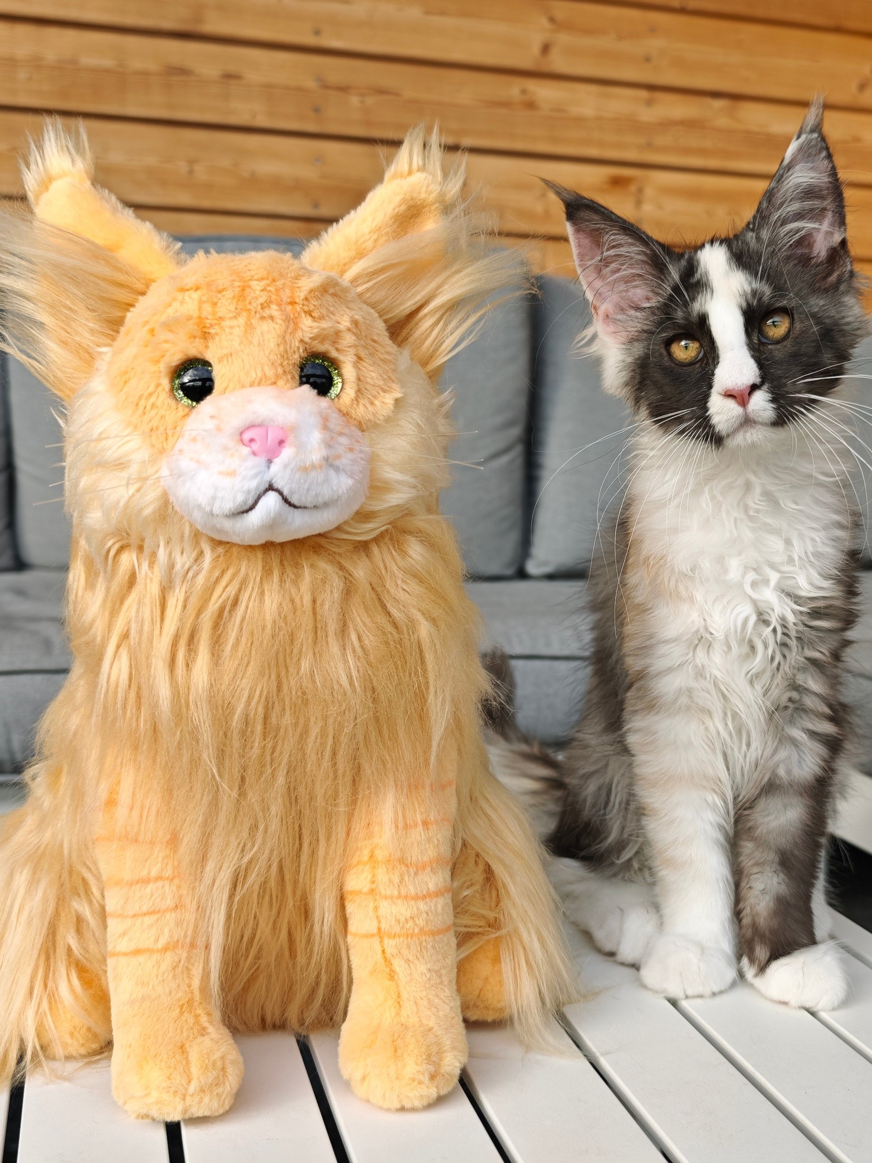 Buster Plushie product image (5)