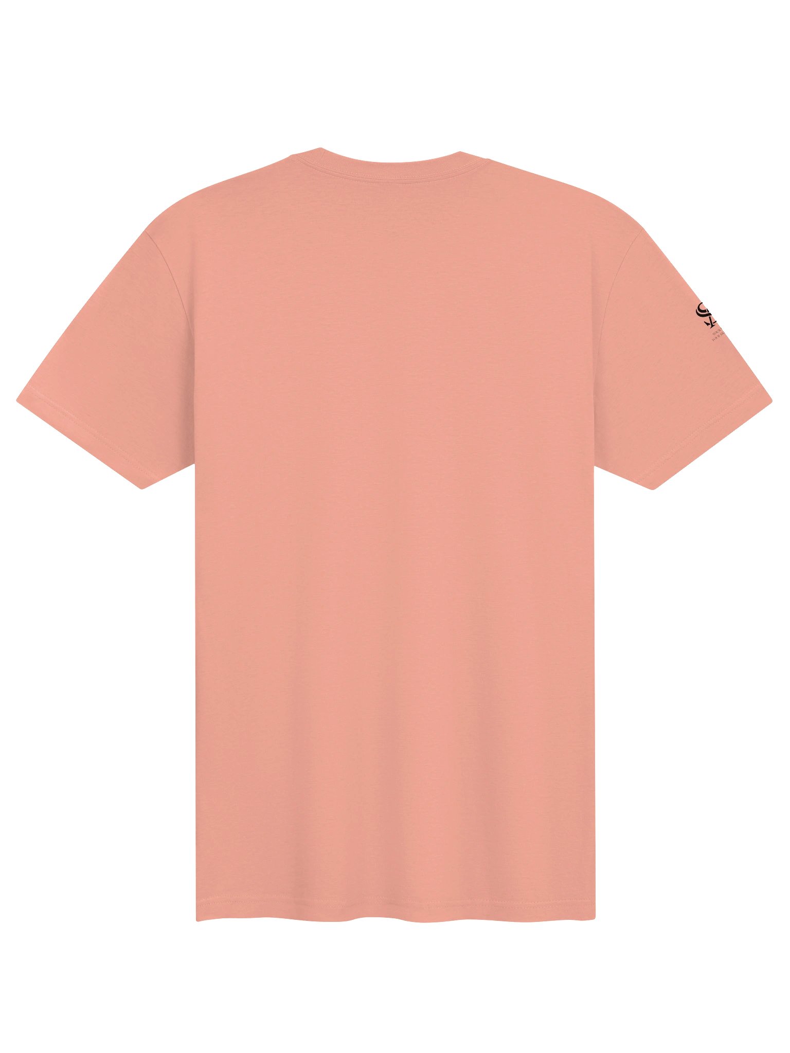 Adventure Graphic Supersoft T-Shirt product image (13)