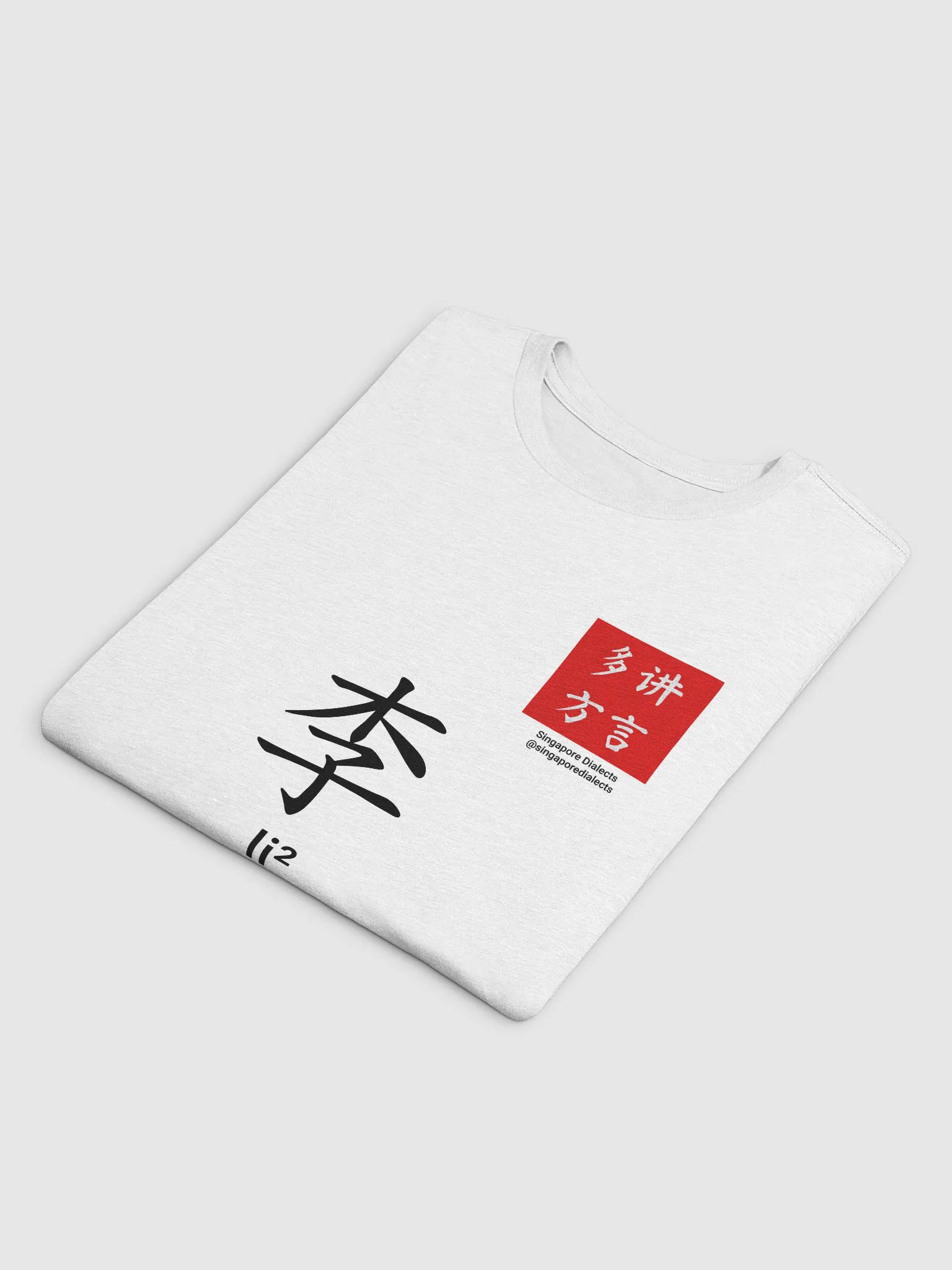 李 Lee (Teochew) Surname T-Shirt (Light) product image (4)