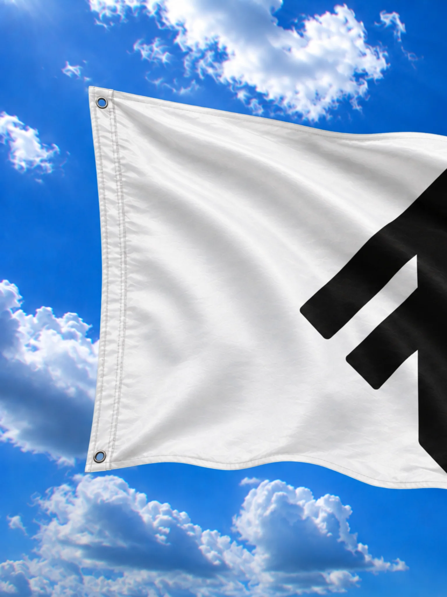 Drapeau Blanc product image (2)