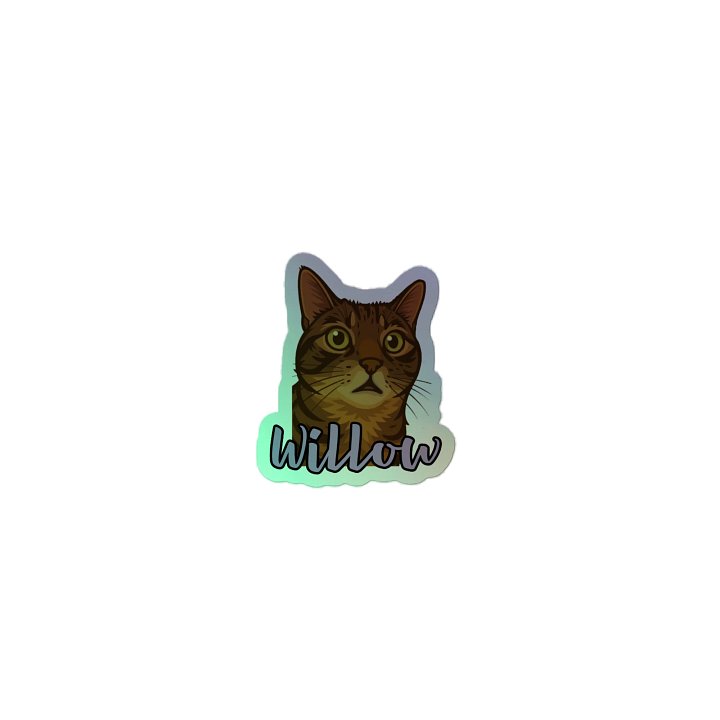 Willow holographic sticker product image (2)