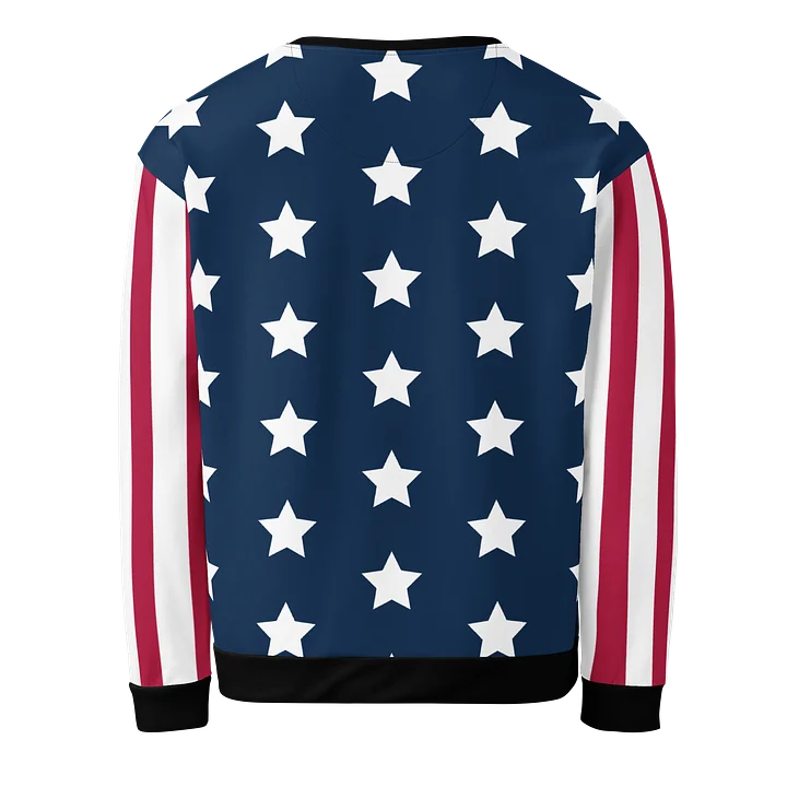 TEAM USA Unisex Sweatshirt product image (2)