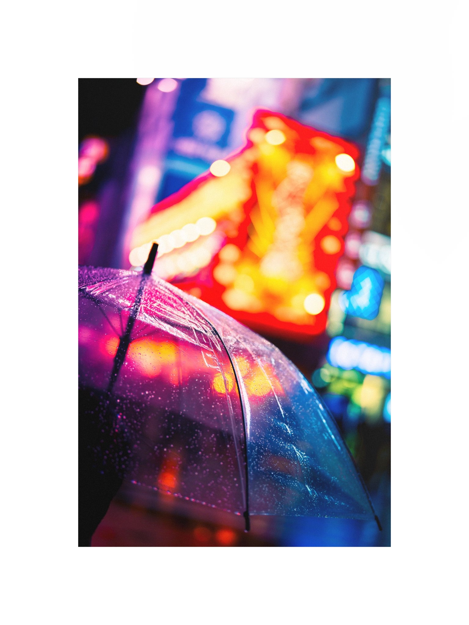 UMBRELLA product image (4)