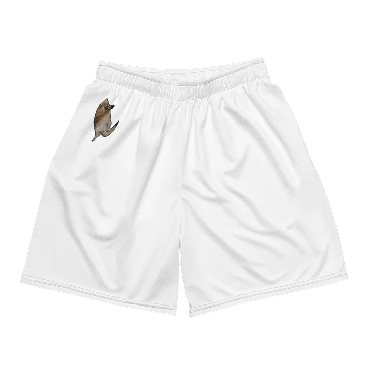 Chris Lazy - Shorts product image (2)