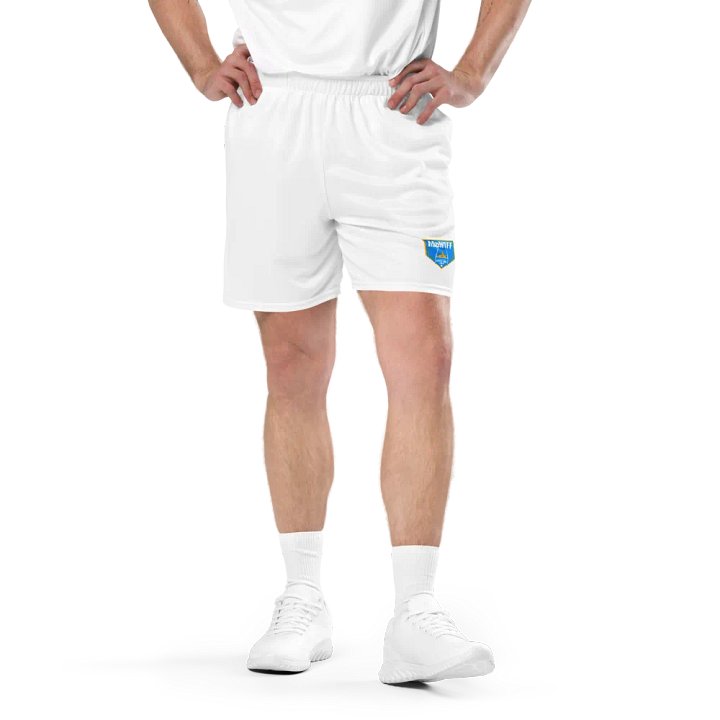 Main Logo Mesh Shorts product image (1)