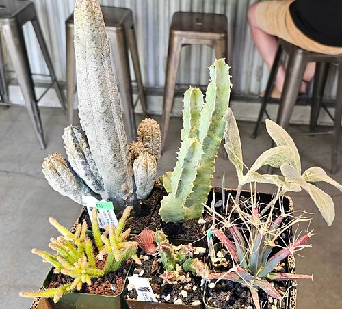 We interrupt your regular Marvel content to remind you that there's a plant show somewhere near you almost every damn week. @...
