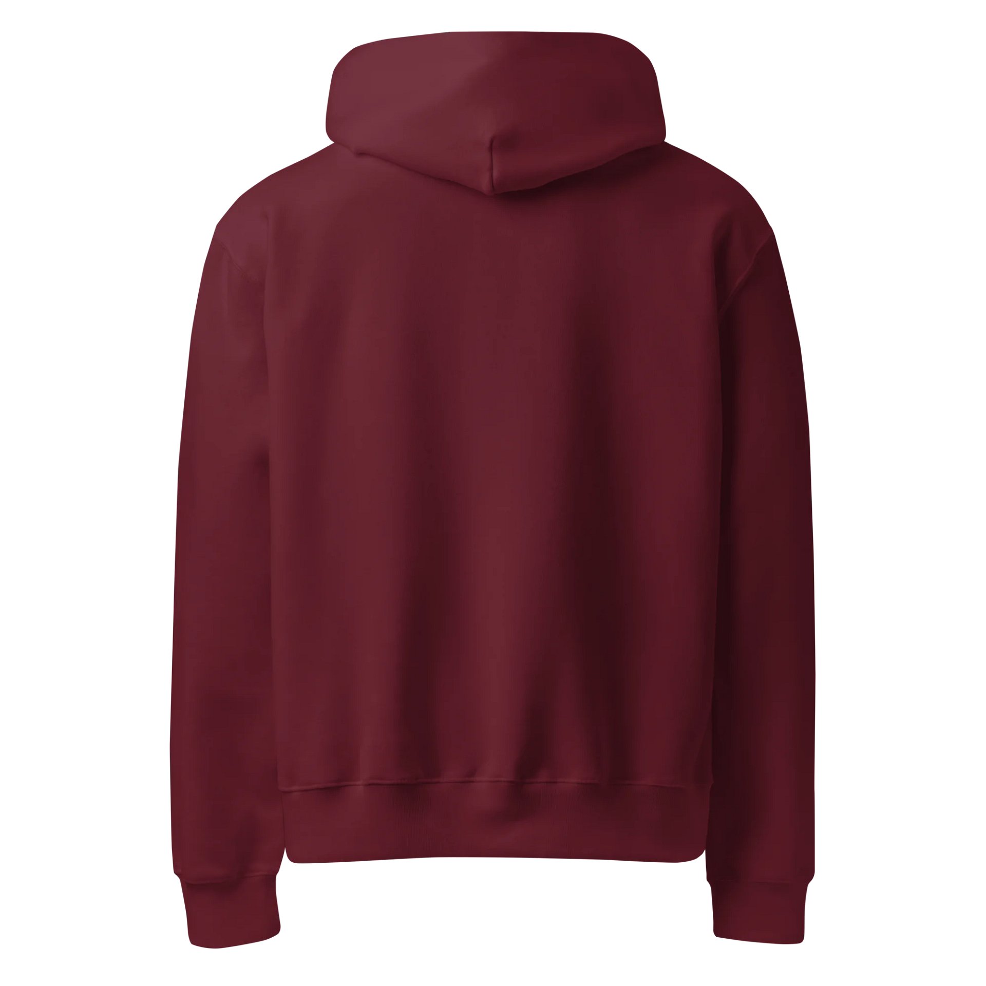 James Embroidered Hoodie product image (2)