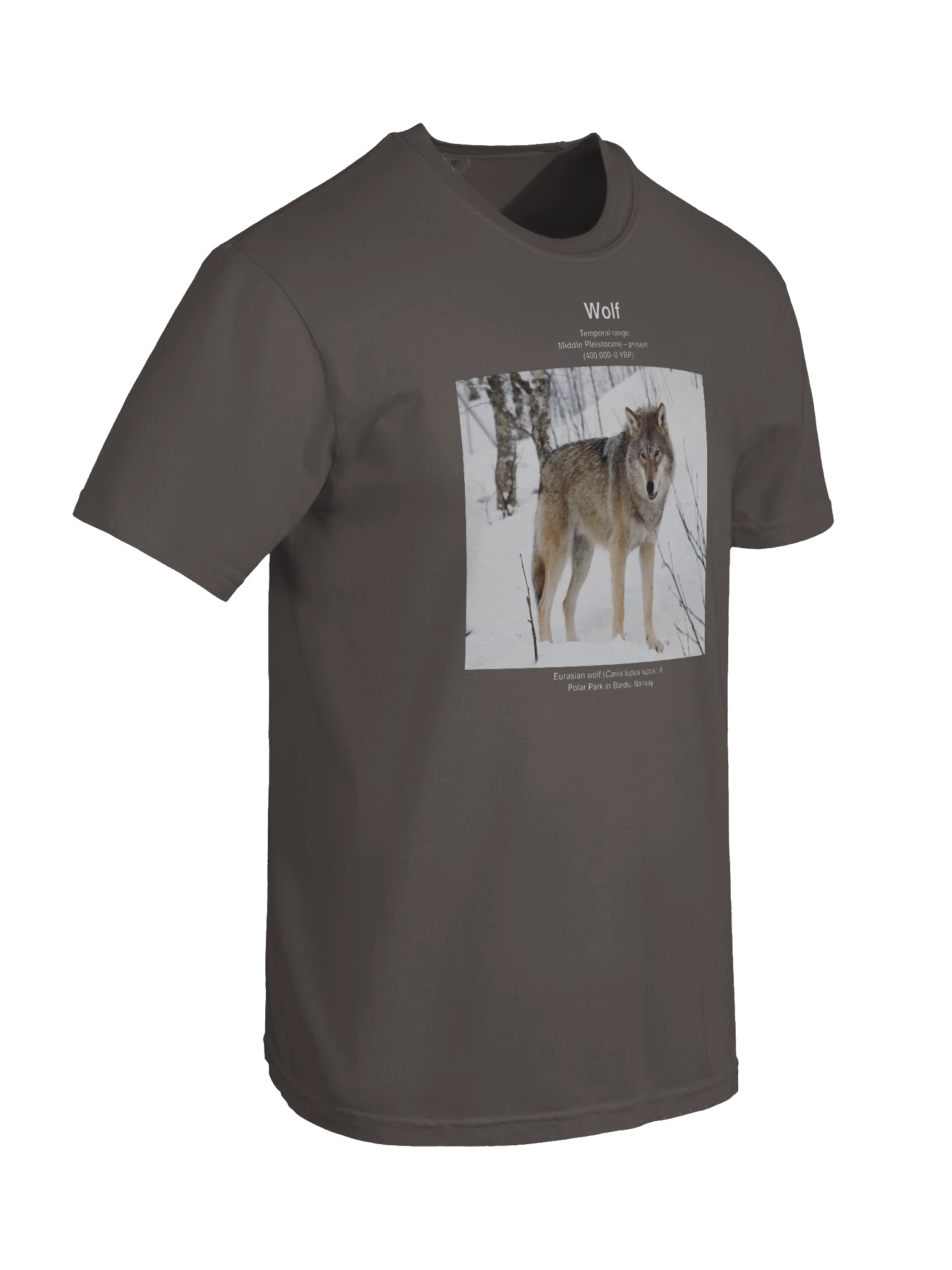 Wolf Wikishirt product image (8)