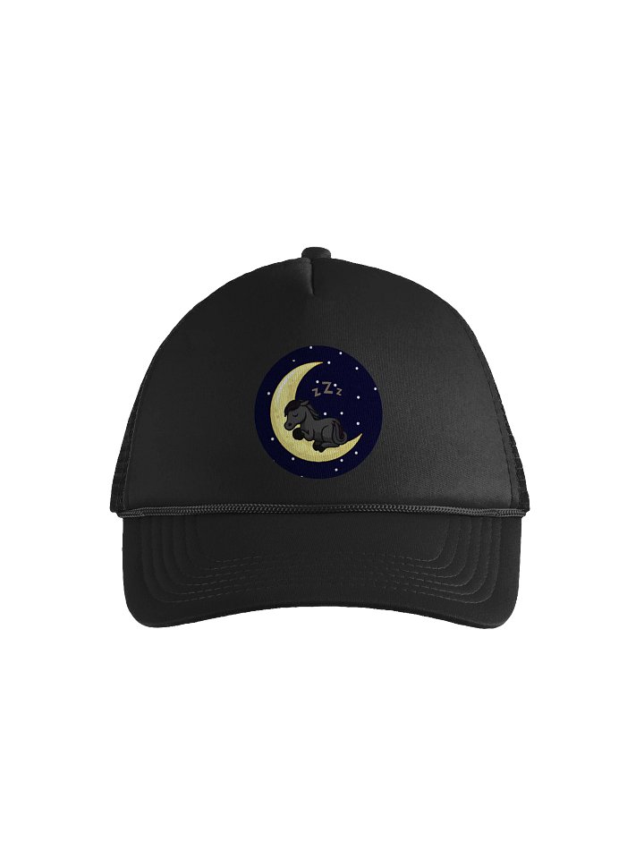 DrThestral Foam Trucker Hat product image (1)