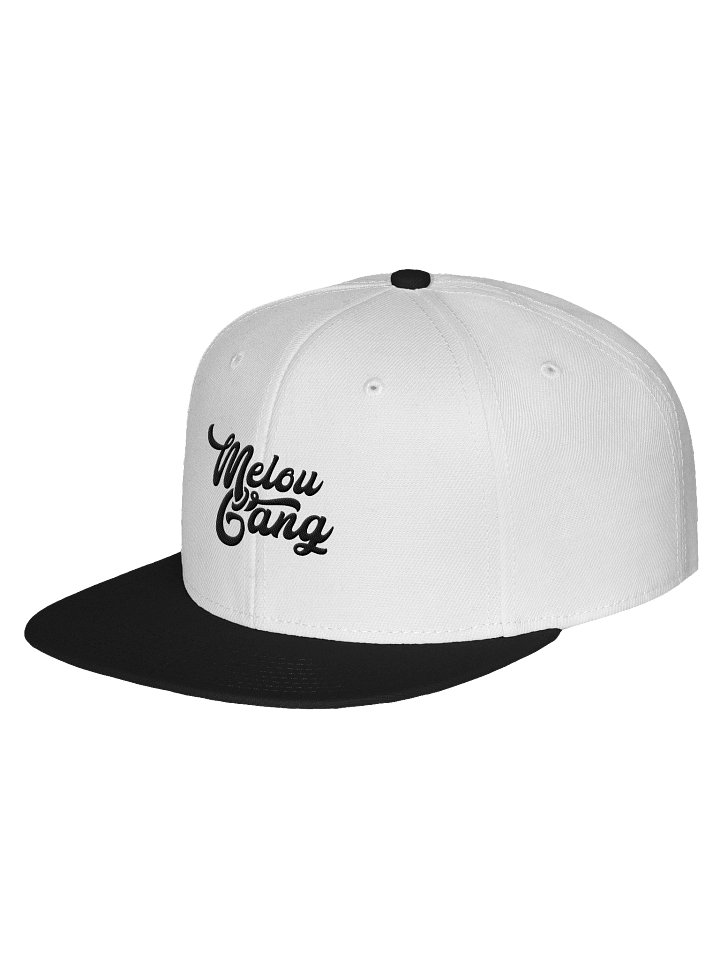 Melou Gang Snapback product image (8)