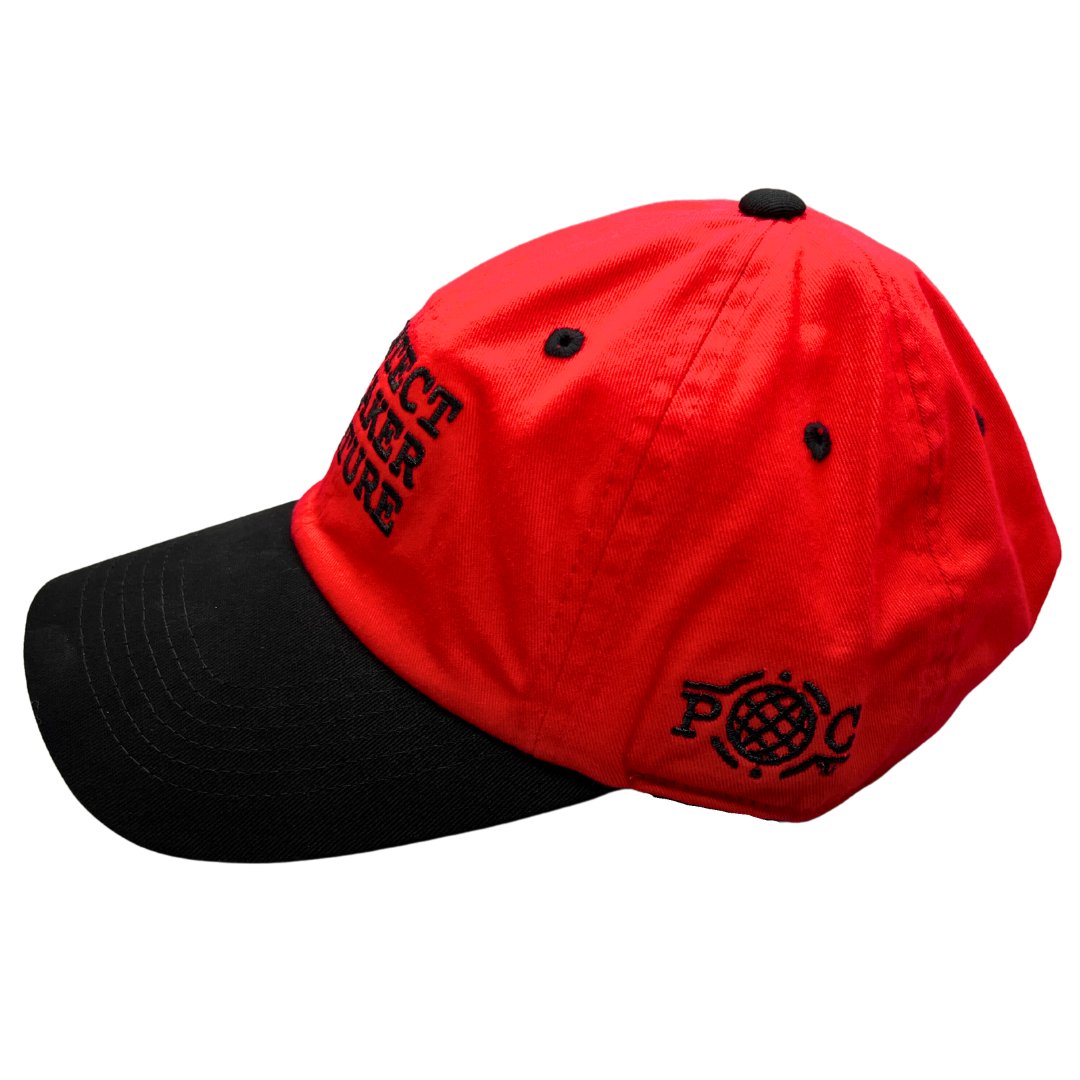 Protect Sneaker Culture Dad Hats product image (3)