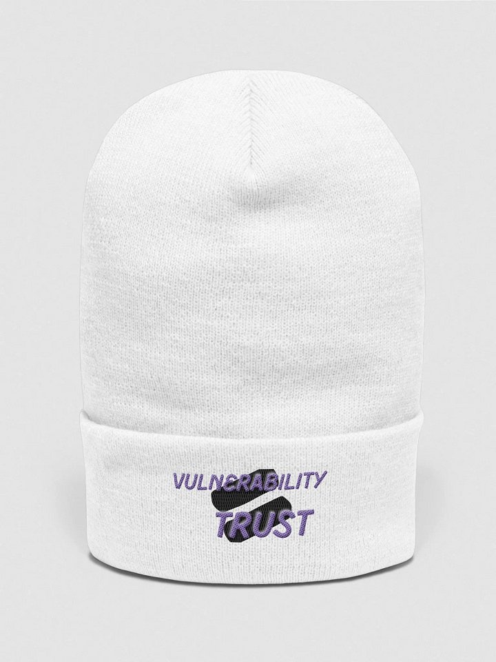 Vulnerability Skullee product image (1)