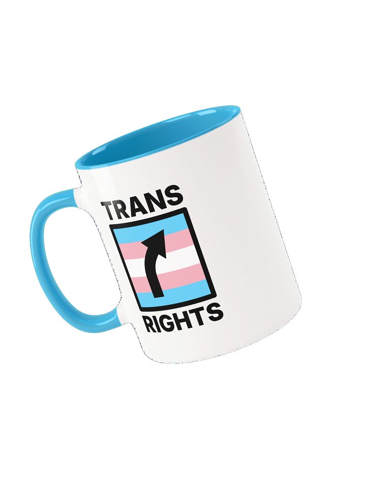 Trans Rights Mug product image (2)