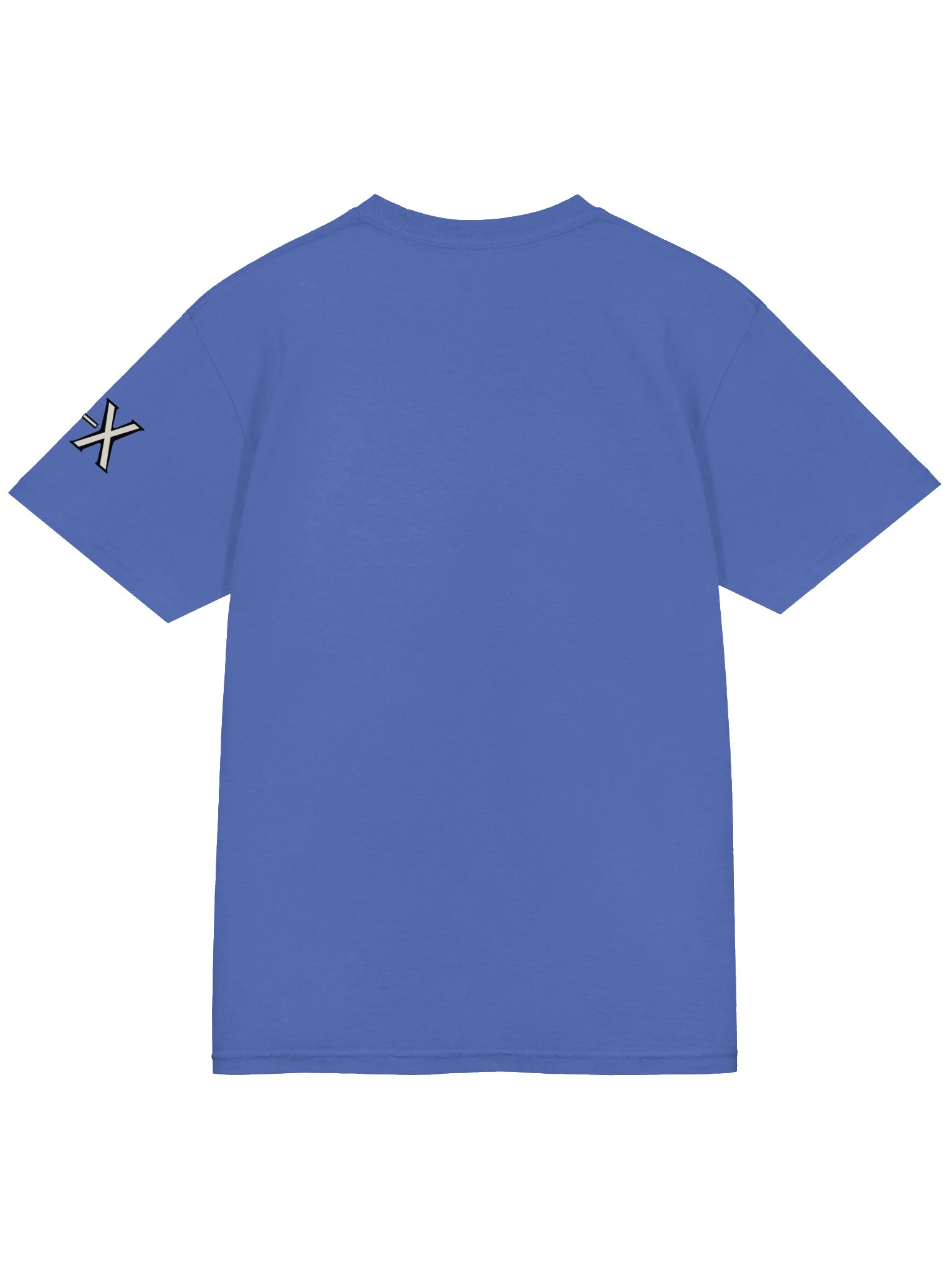 The Champion | Heavyweight T-Shirt | Originology | Black History X product image (9)