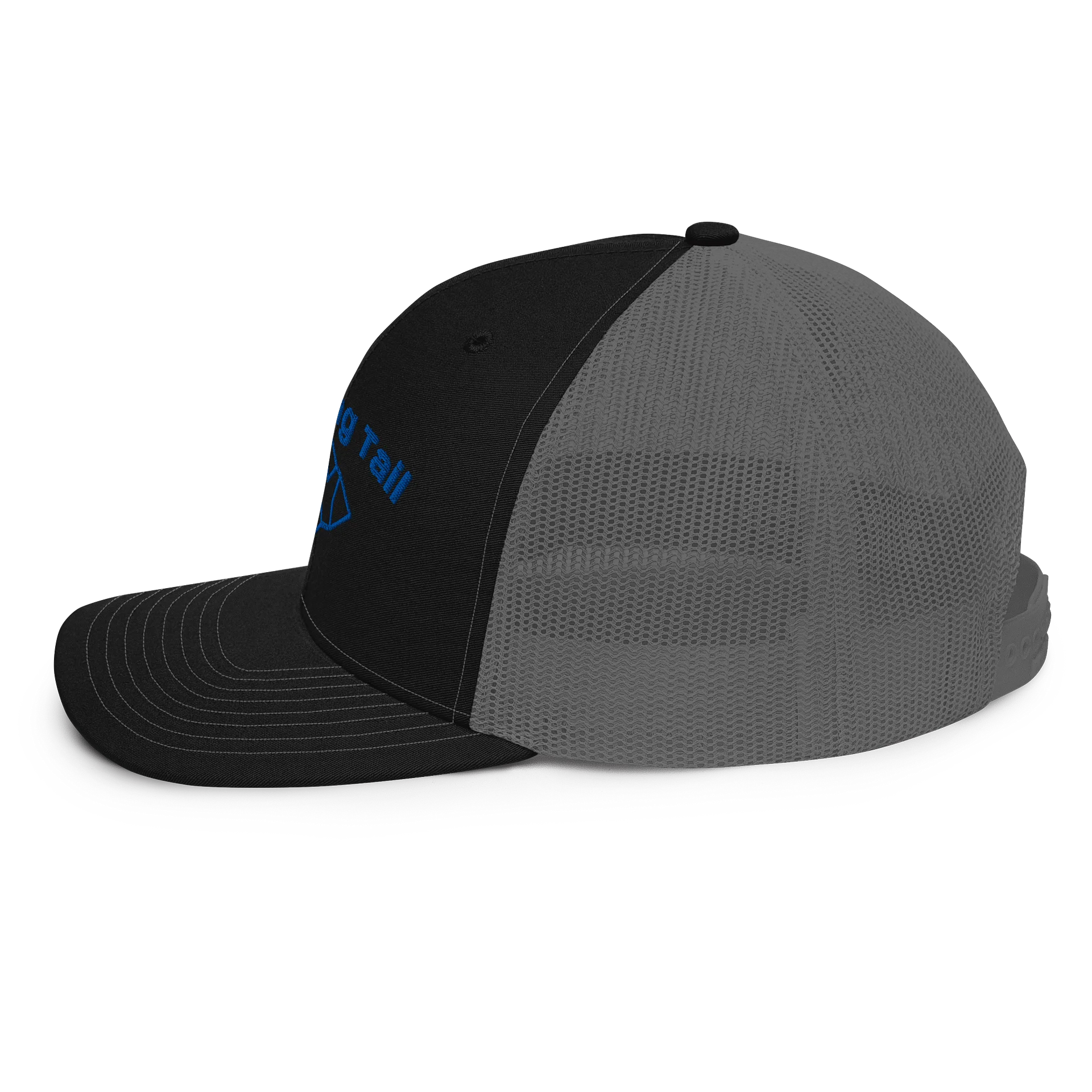 Chasing tail product image (3)