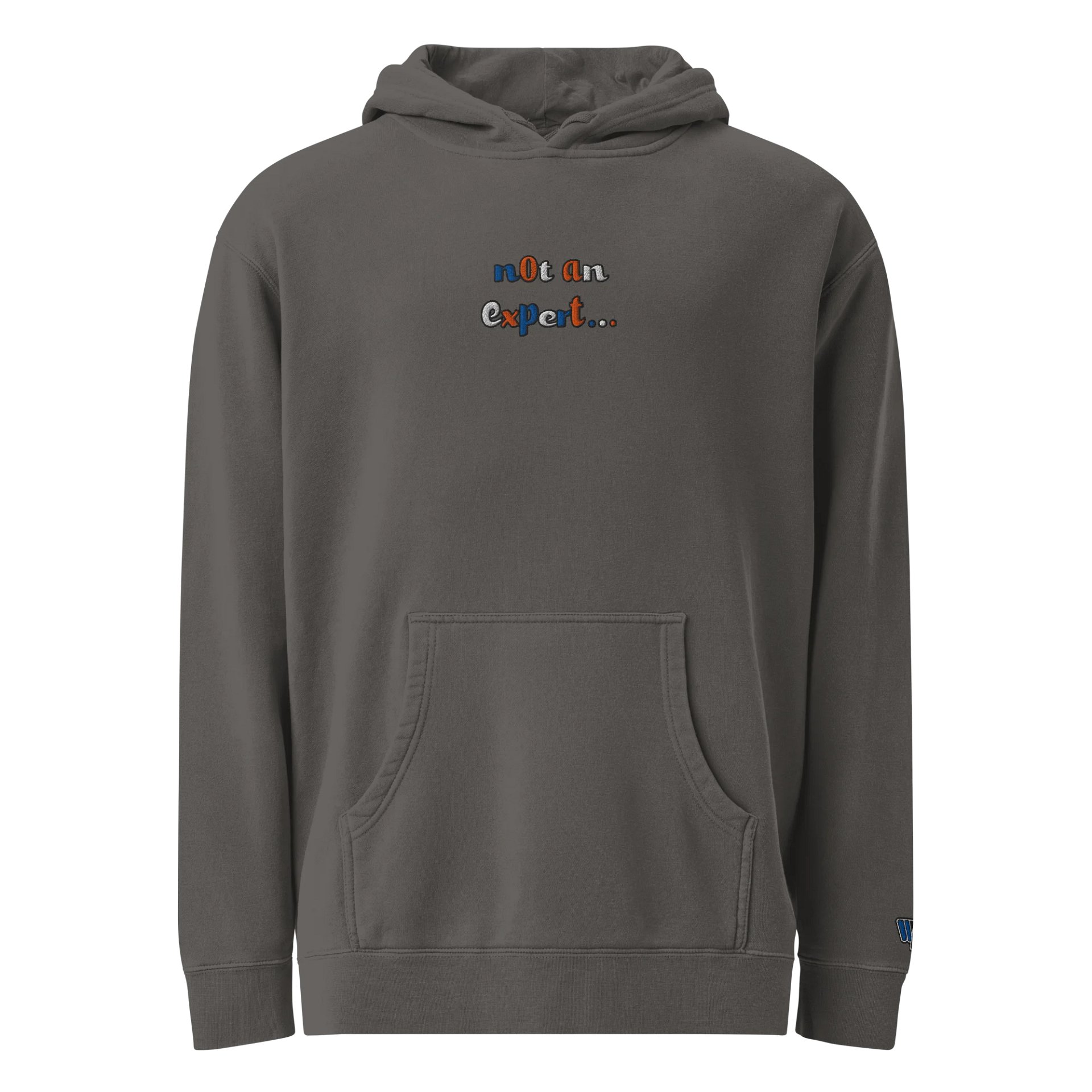 "not an expert..." Official Colour Hoodie product image (1)