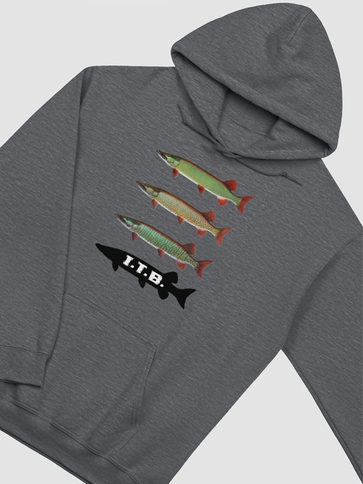 Clear, Spotted, Barred Hoodie product image (13)