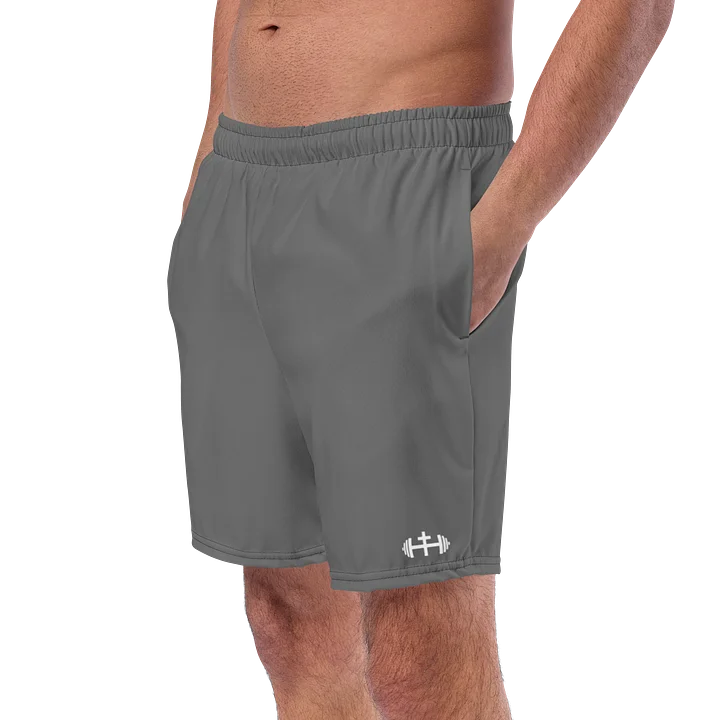 His House Mens Swimsuit - Grey product image (2)