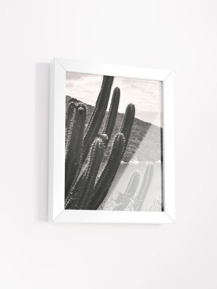 Mexico Lindo - Framed High-Quality Matte Poster product image (2)
