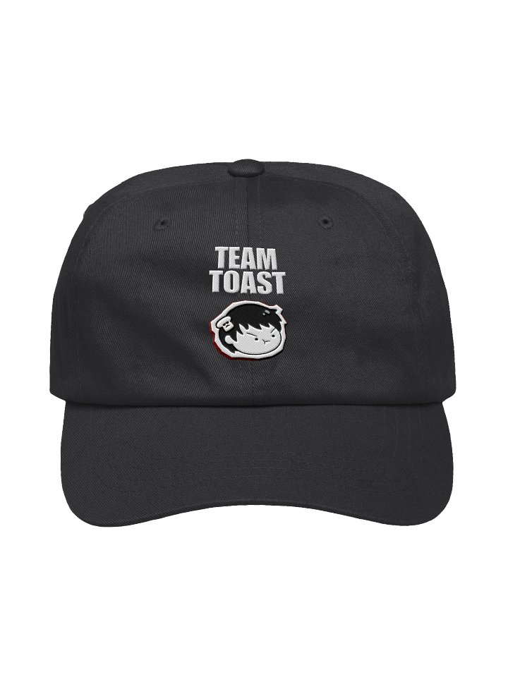 TEAM TOAST HAT product image (1)