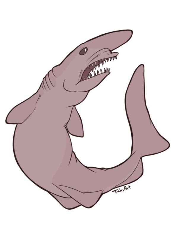 goblin shark product image (1)