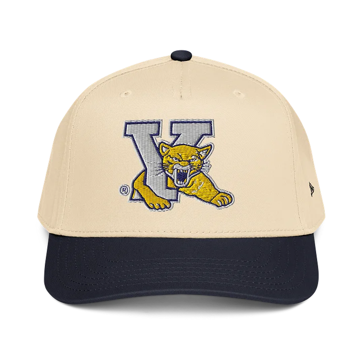 Young Collegiate Mountain Lion Cap product image (1)