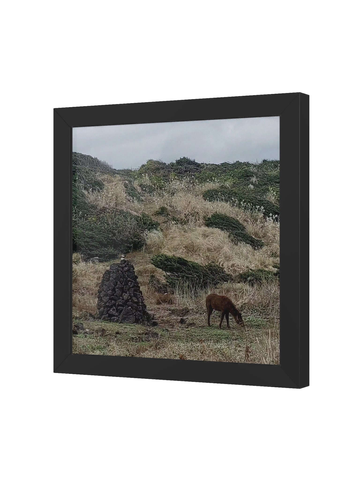 Earth product image (2)
