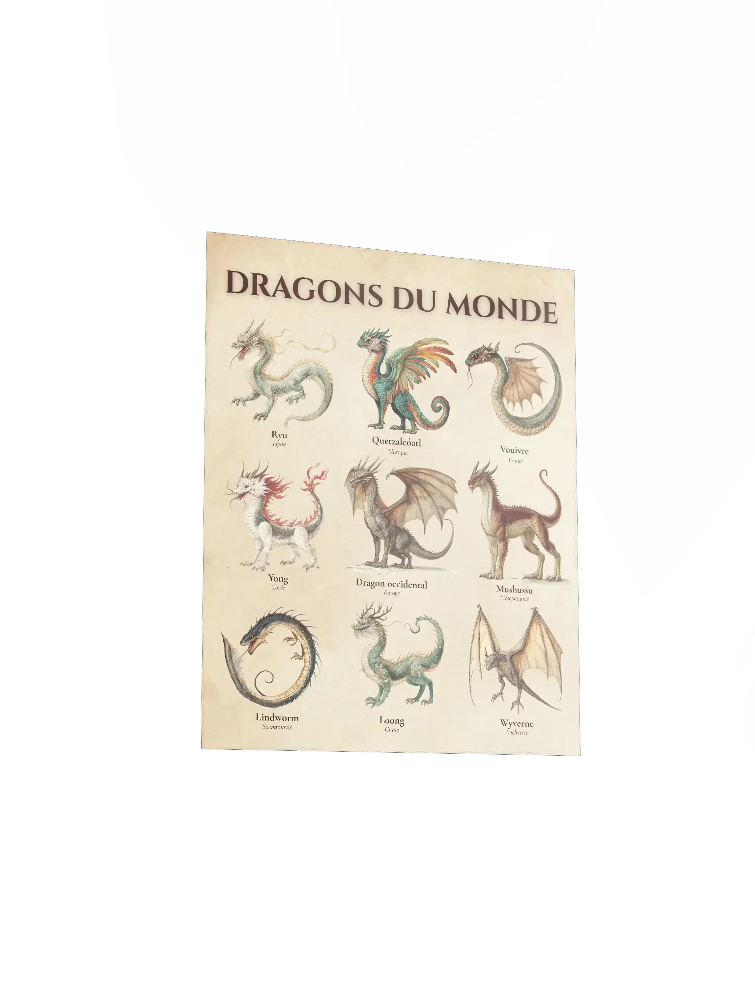 Poster Dragons du Monde - vue 3