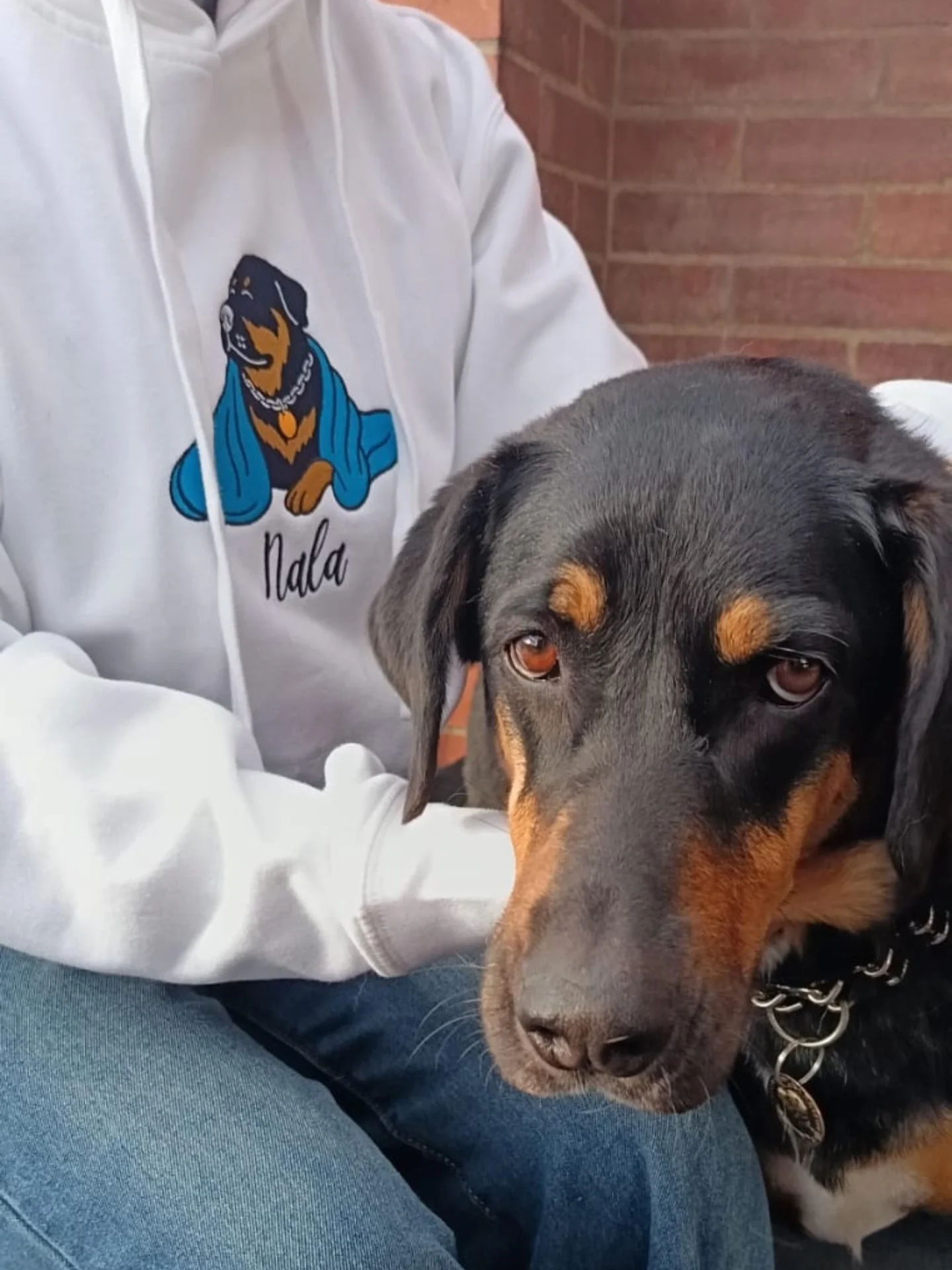 NALA💙 / EMBROIDERED HOODIE product image (3)