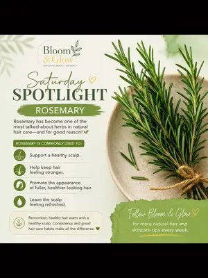 🌿 Saturday Spotlight: Rosemary 🌿 Rosemary is one of nature's most loved herbs for hair care—and it's easy to see why. 💚 Traditionally used to support a healthy scalp, rosemary is a popular ingredient in natural hair routines because it may help hair look stronger, healthier, and fuller over time when used consistently. At Bloom & Glow, we believe healthy hair begins with healthy habits and the power of nature. ✨ What's your favorite natural ingredient for healthy hair? Tell us in the comments—we'd love to know! Follow @BloomAndGlow for more ingredient spotlights, hair care tips, and natural beauty inspiration. 🌿 #BloomAndGlow #Rosemary #NaturalHairCare #HairCareTips #HealthyHair     