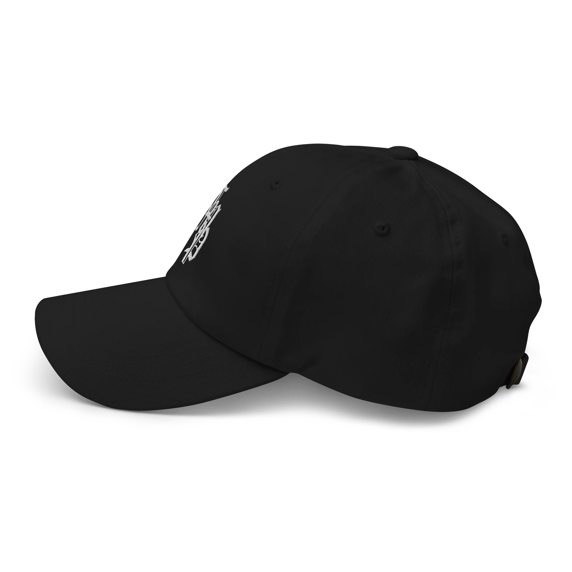 TMP OE Dad Hat product image (4)