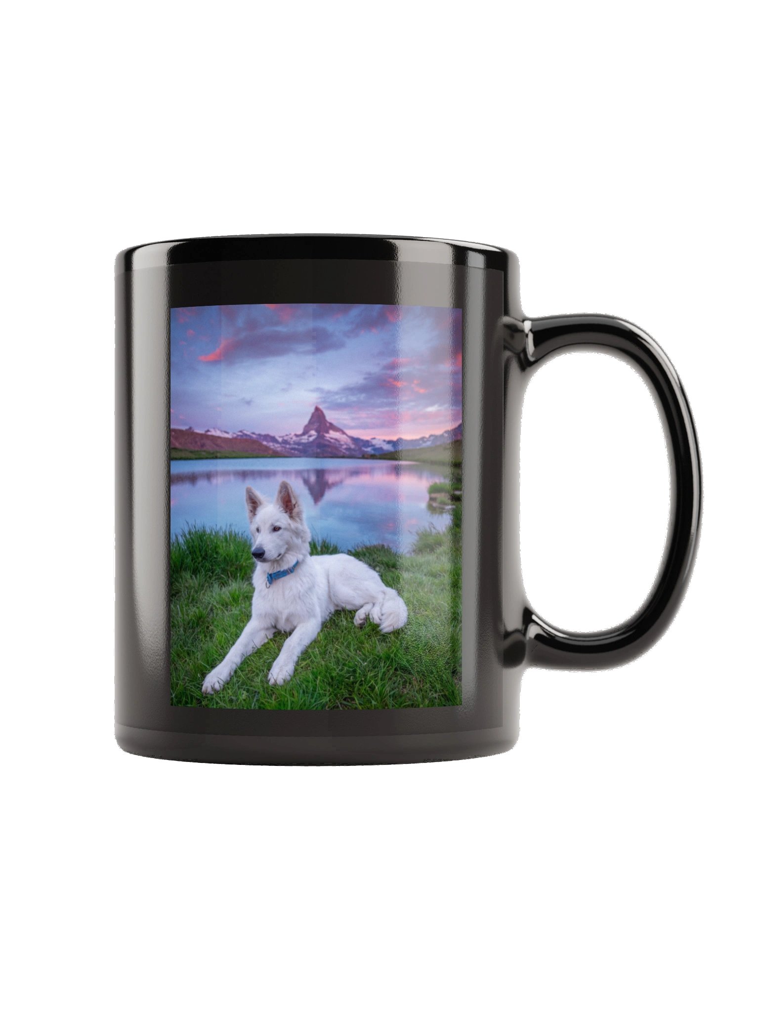 Lil Rasta at Stellisee product image (5)