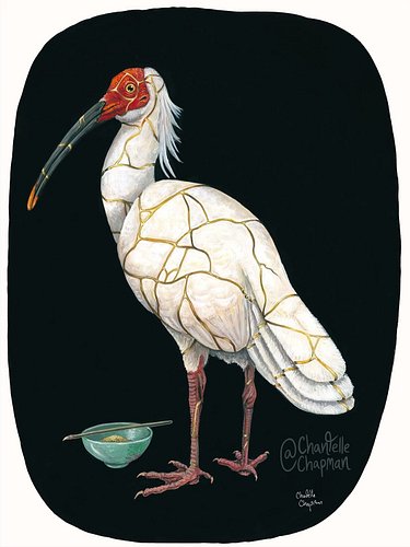 ‘Restoration (Japanese Crested Ibis)’, traditional gouache, 22x30 inches. This piece is my tribute to the bird known in its n...