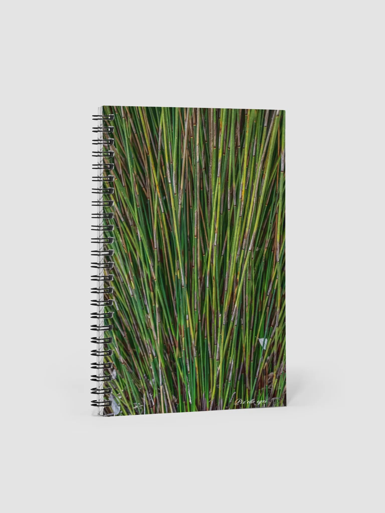 📓 Notebook Collection PURE – Jardin du Rayol – Roseau du Cap product image (1)