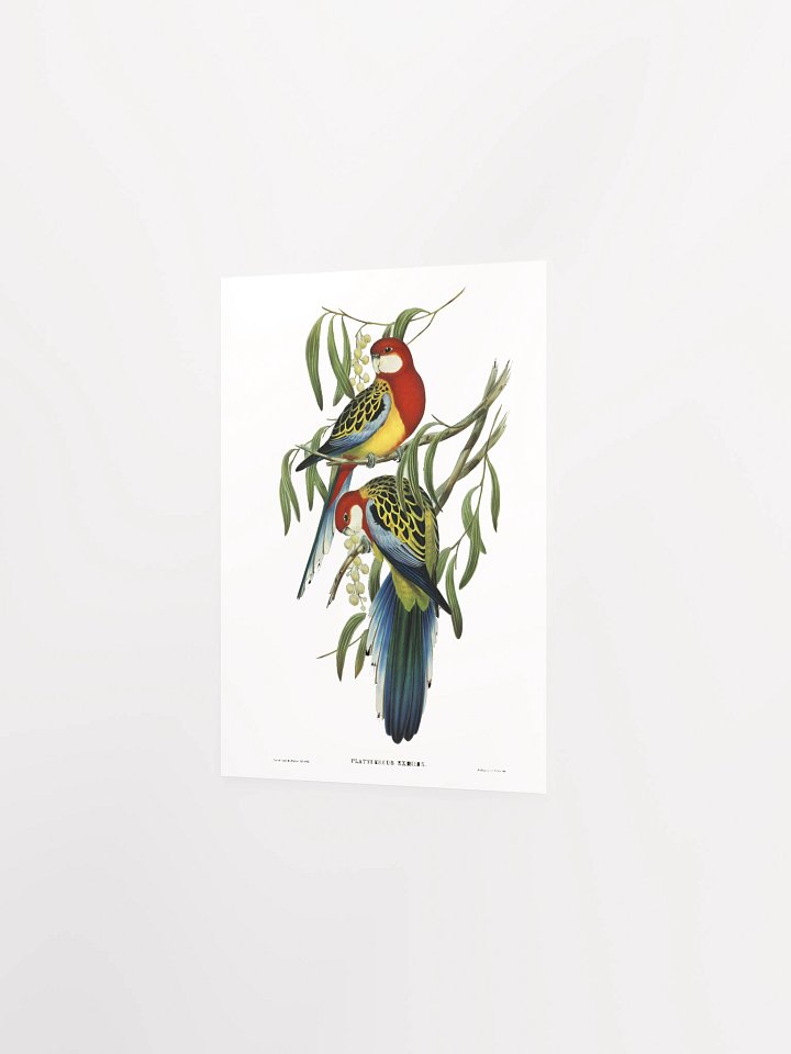 Vibrant Avian Oasis Poster product image (12)