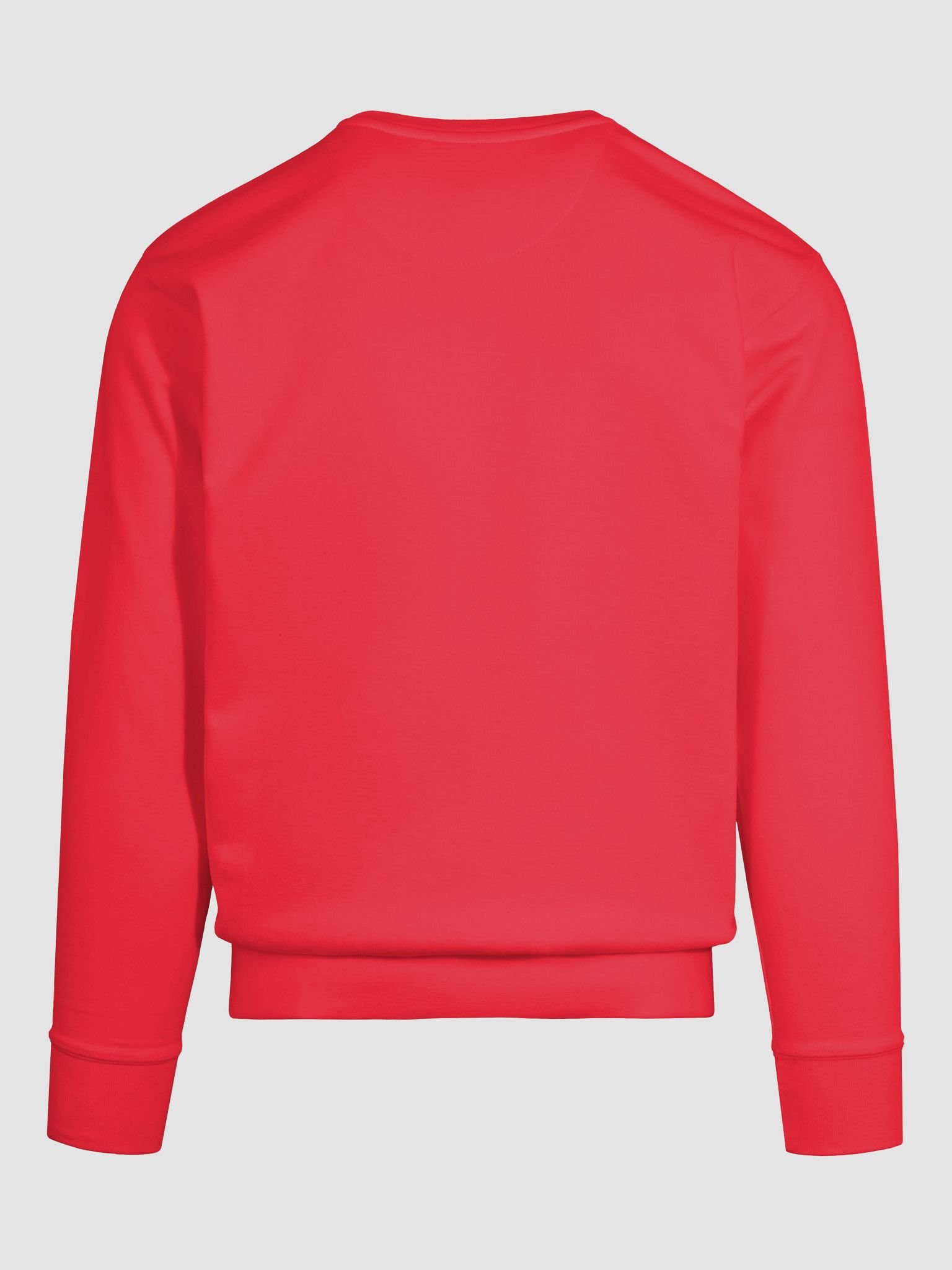 Capricorn Zodiac Symbol Premium Sweatshirt product image (11)