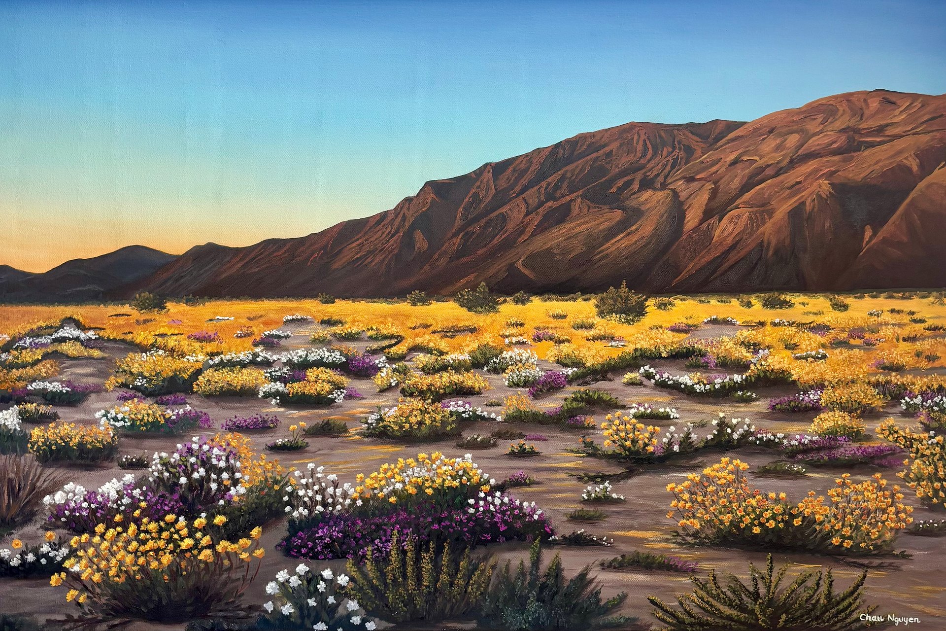 Where the Desert Blooms product image (1)