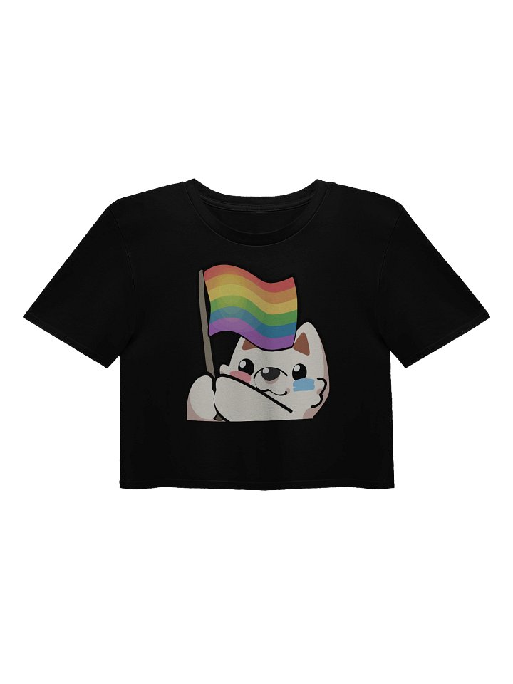 Rainbow Pride Flag Crop Top product image (2)