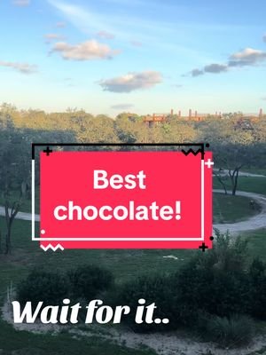 ALWAYS WHEN IM RECORDING🙄😂!  We just watched the Wonka movie but why😭😭😂😂😂 #animalkingdomlodge #willywonka #wonkathewanka #bestchocolate 