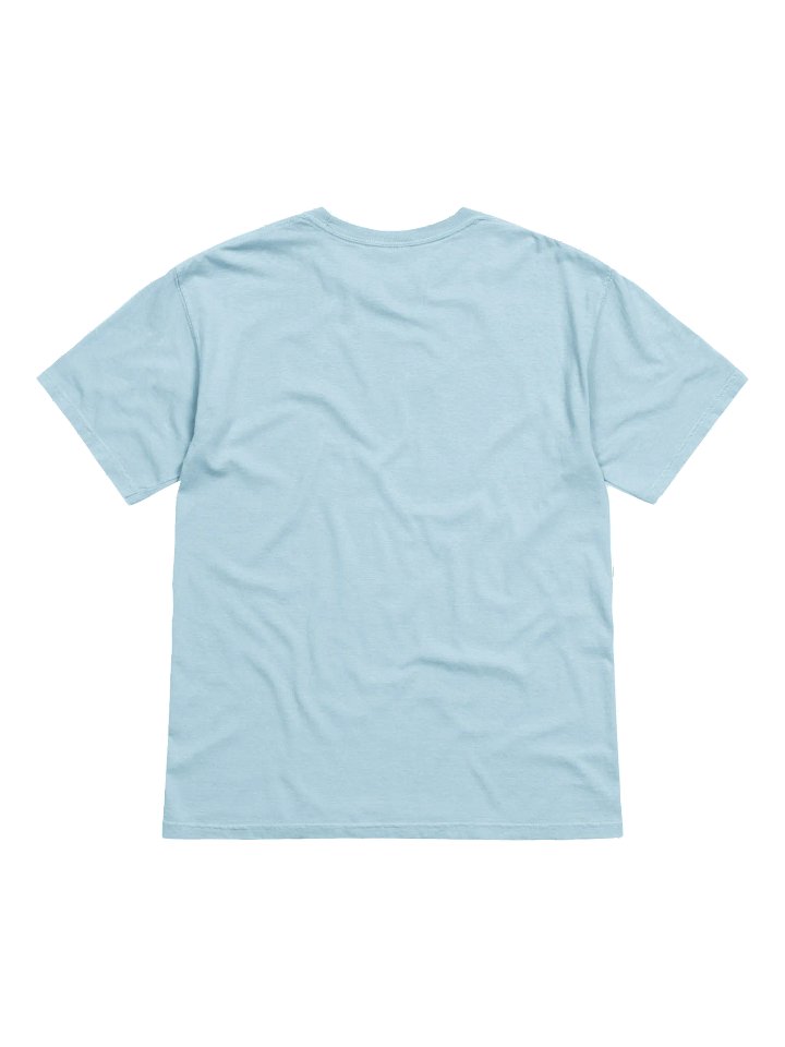 America Needs ANP (Color) - Heavy T product image (4)