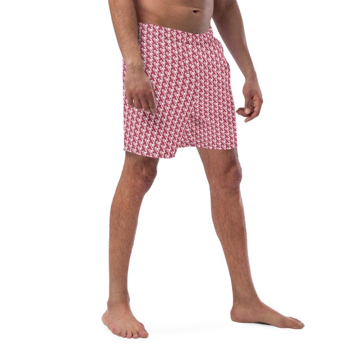 Syn-Stripe Trunks Red/White product image (2)