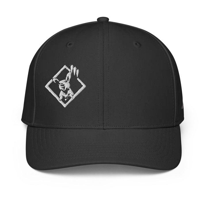Frank's Revenge X Adidas - Cap product image (1)
