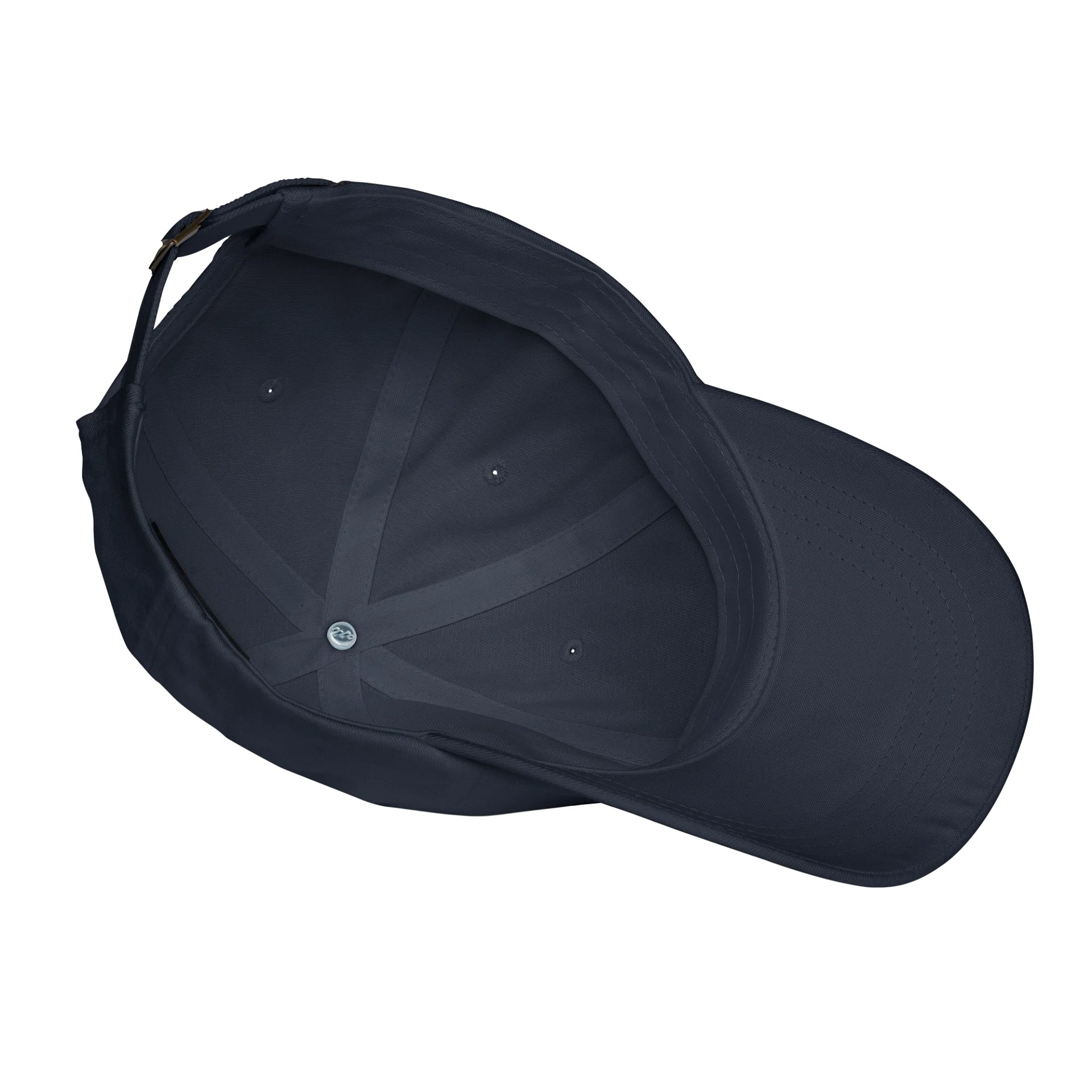 Sad Duck Dad Cap product image (7)