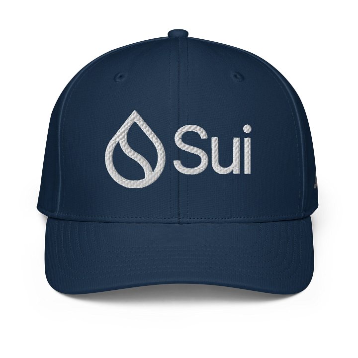 Adidas/Sui Cap product image (1)