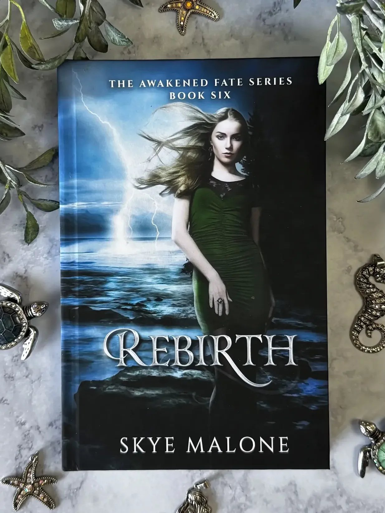 Rebirth (Awakened Fate #6) product image (2)